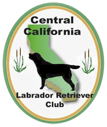 Central California Labrador Retriever Club